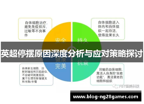 英超停摆原因深度分析与应对策略探讨